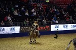 Quadrille - 00716